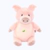 Fredie das Schwein Miniaturansicht