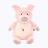 Fredie das Schwein Miniaturansicht